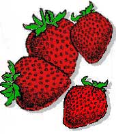 Aujourd'hui, on trouve des fraises en toute saison.
